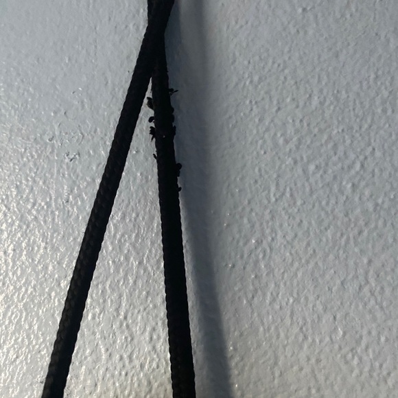 Adidas Drawstring - Picture 2 of 4